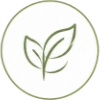 Plantes médicales