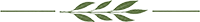 leaf arbre